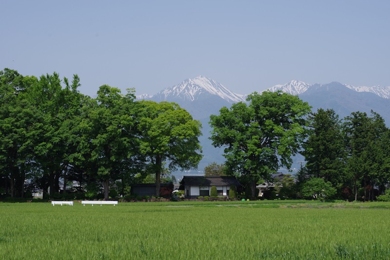 あづみの木箸　あづみ野遊印