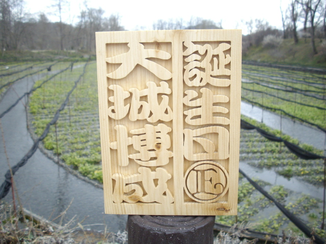 あづみの木箸　あづみ野遊印