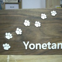 yonetani