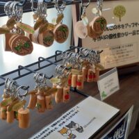 あづみの木箸　エシカル商品